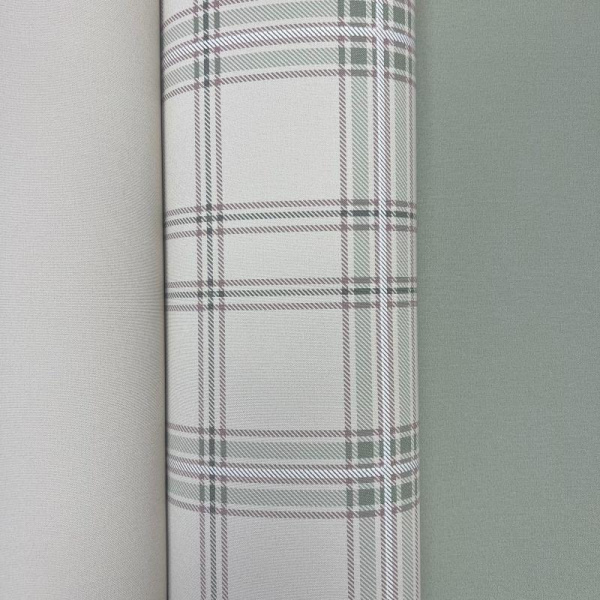 Andrea Rossi Cavolli 54417-4