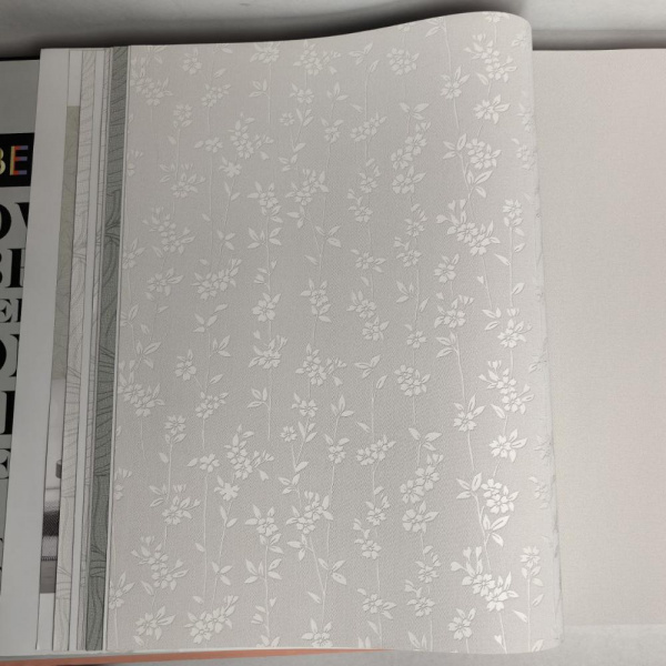 Andrea Rossi Berggi 54451-1