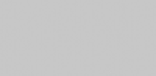 Andrea Rossi Cheradi 54395-2