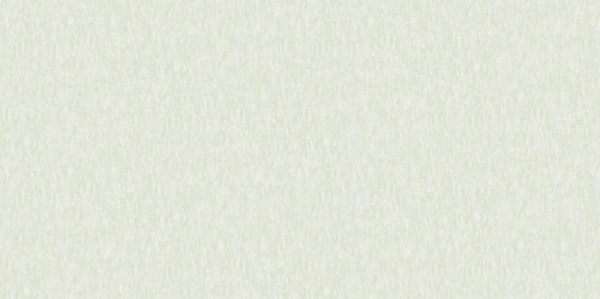 A. Grifoni Palazzo Ragione 7026-2