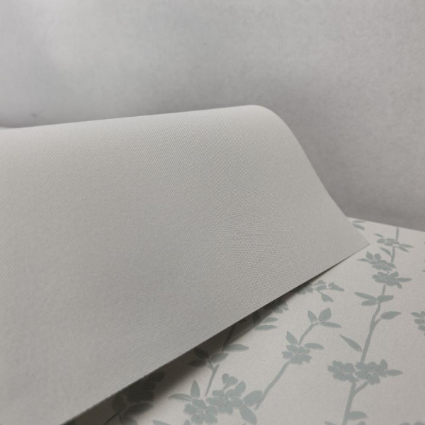 Andrea Rossi Berggi 54450-6