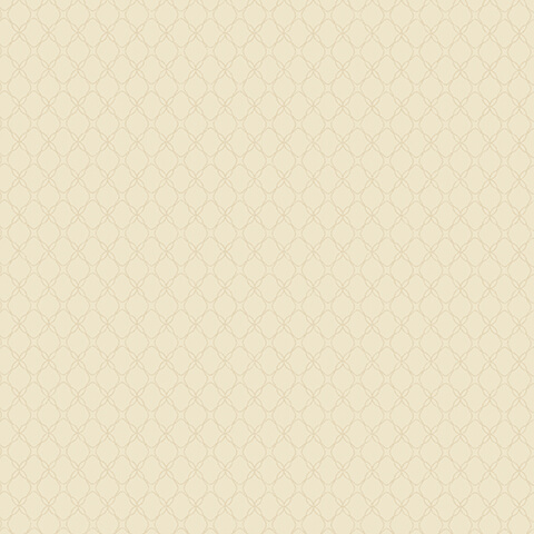 Andrea Rossi Gallinara 54315-7