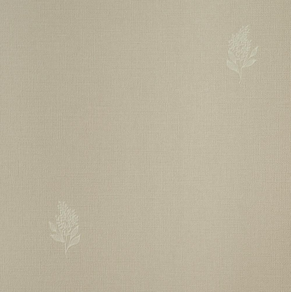 Andrea Rossi Palmaria 54462-6