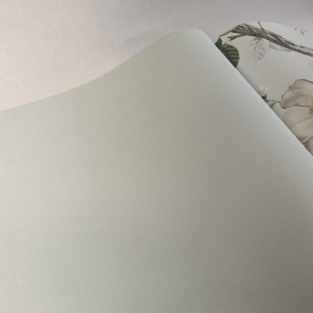 Andrea Rossi Cavolli 54420-8 Andrea Rossi Cavolli 54420-8