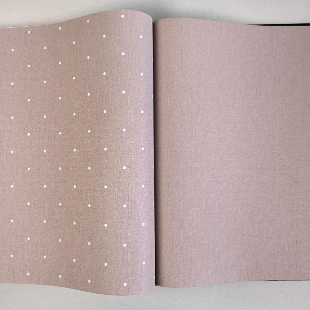 Andrea Rossi Spectrum Box 54455-15 Andrea Rossi Spectrum Box 54455-15