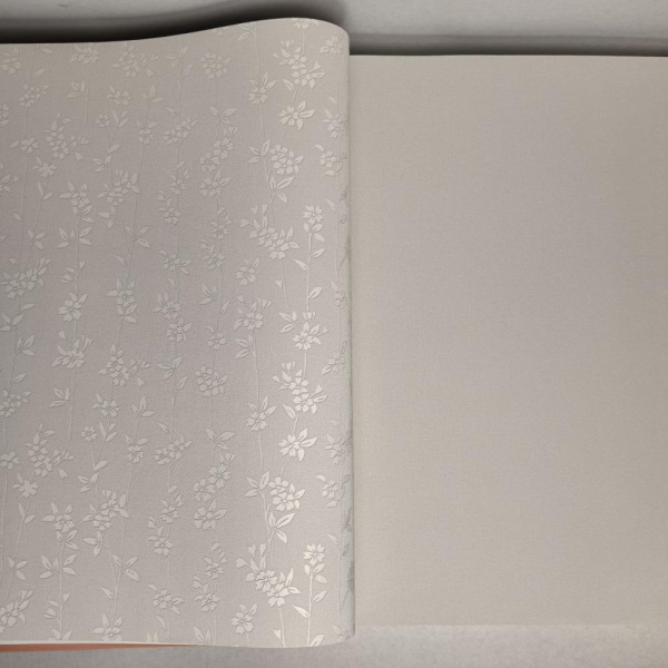 Andrea Rossi Berggi 54450-1