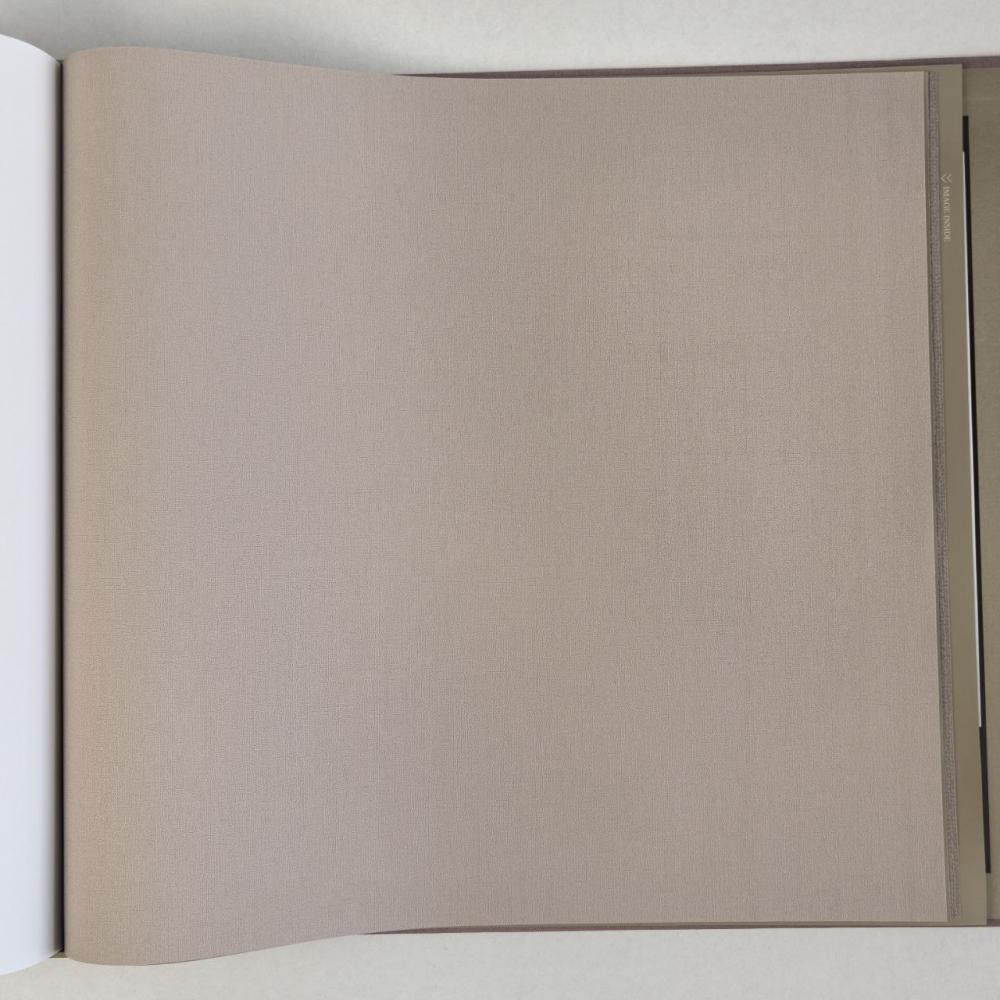 Alessandro Allori Bruni RBN 1004-9