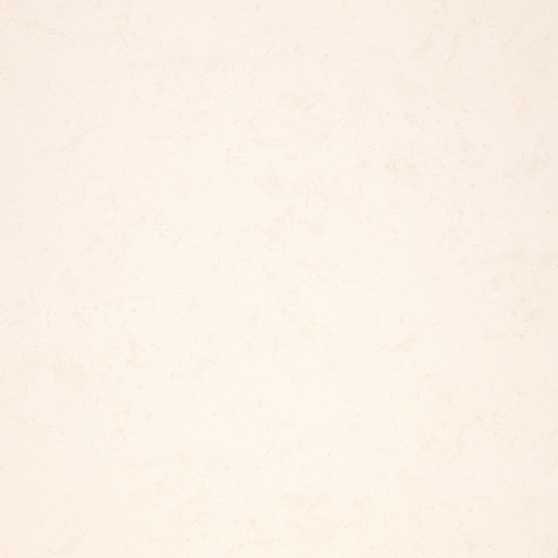 Fipar Modelli Magici R 11581