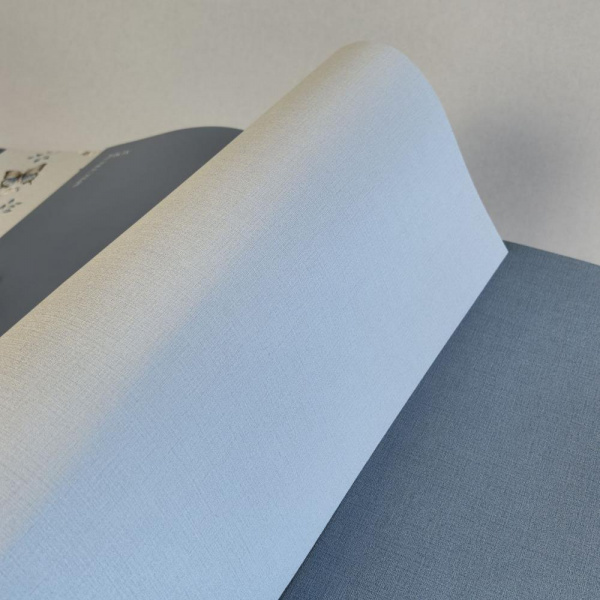 Andrea Rossi Spectrum Box 54459-5