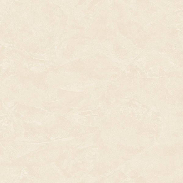 Zambaiti Parati Philipp Plein Z 81011