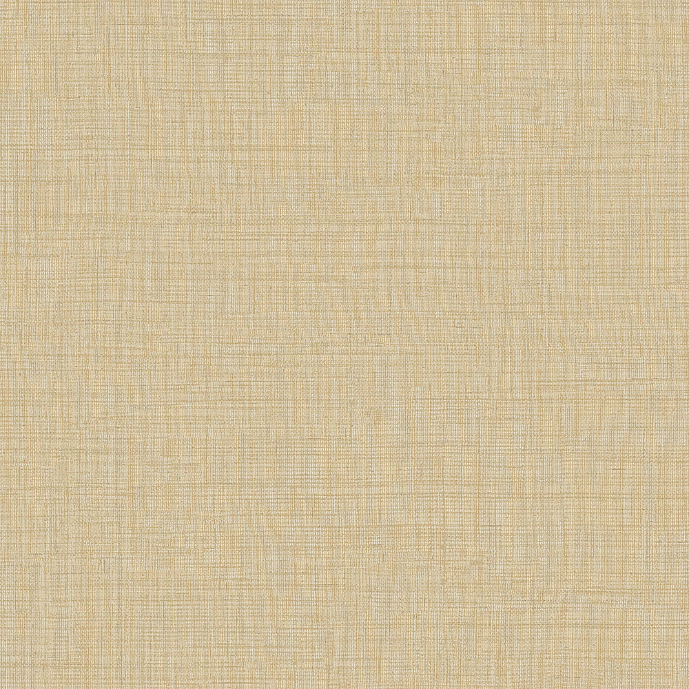 Alessandro Allori Giorgio RGI 1010-9