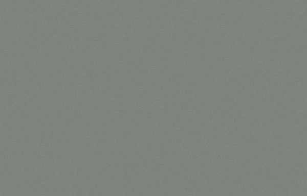 Loymina Equator QTR8 006_1