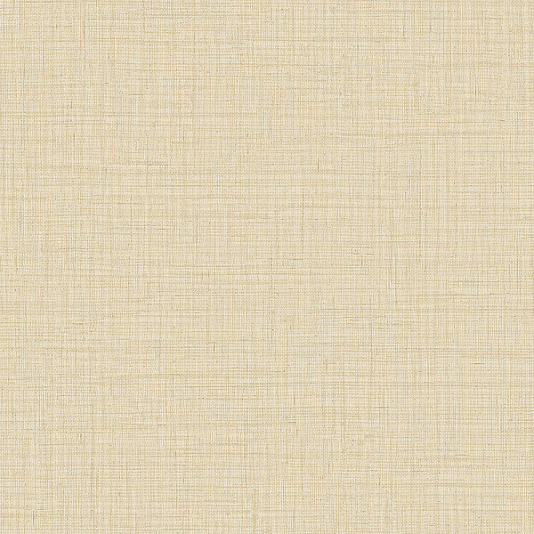 Alessandro Allori Giorgio RGI 1010-8