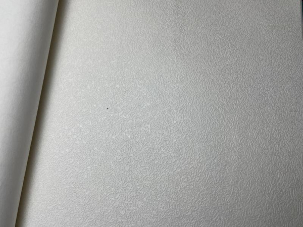 NC Antivandal 4010-22