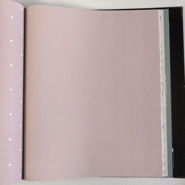 Andrea Rossi Spectrum Box 54455-15 Andrea Rossi Spectrum Box 54455-15