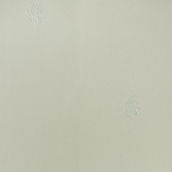 Andrea Rossi Palmaria 54462-1