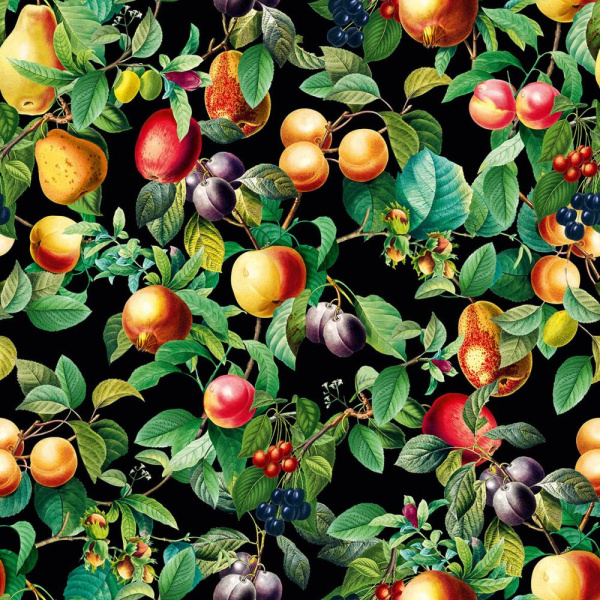 Marburg Gloockler Pompoos Provence 35634