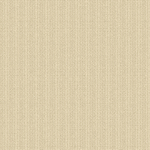 Andrea Rossi Barbana 54287-3