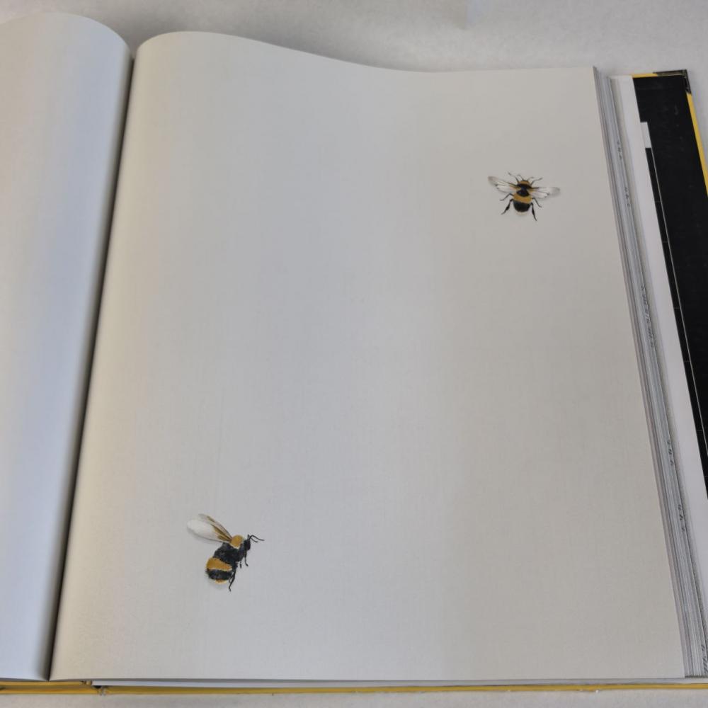 Andrea Rossi Cavolli 54419-2