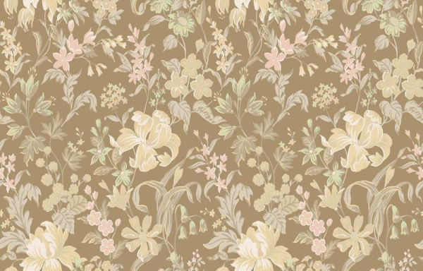 Loymina Equator QTR4 012