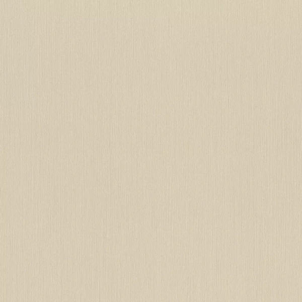 Rasch Wall Textures XL968576