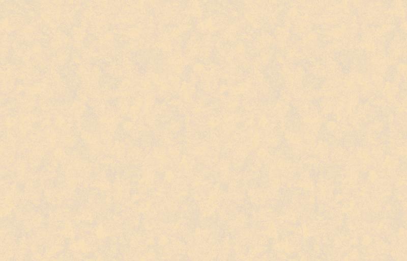 Loymina Shade SD3 002_6