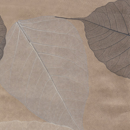 Cosca Лакшери Листья Прима Байге, 10х0,91 м