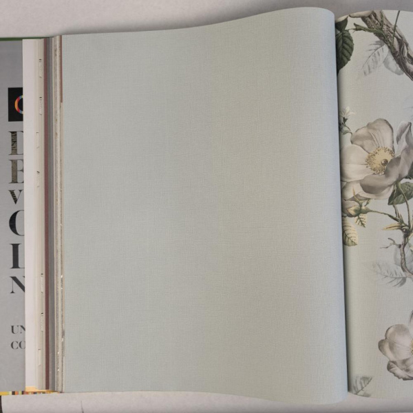 Andrea Rossi Cavolli 54420-8 Andrea Rossi Cavolli 54420-8