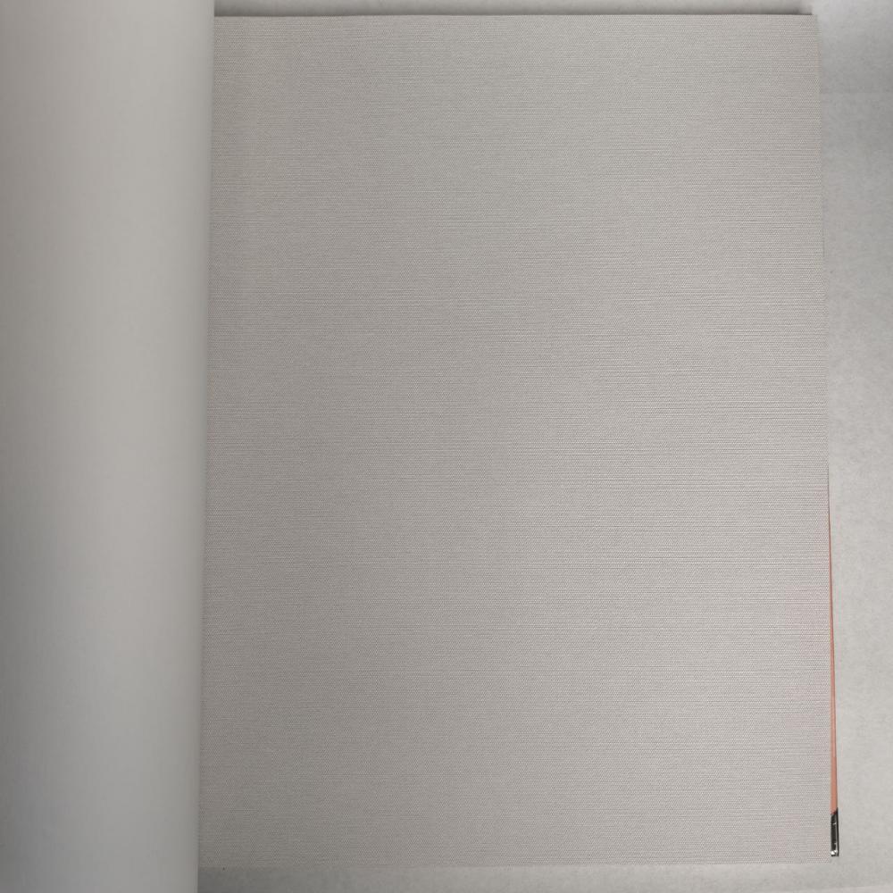 Andrea Rossi Berggi 54443-4