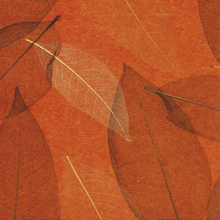 Cosca Лакшери Листья Прима Рохо, 5,5х0,91 м