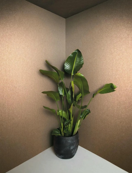 Marburg Eclectic 34949