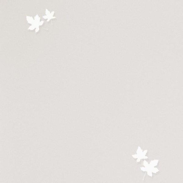 Andrea Rossi Spectrum Pro 54384-2