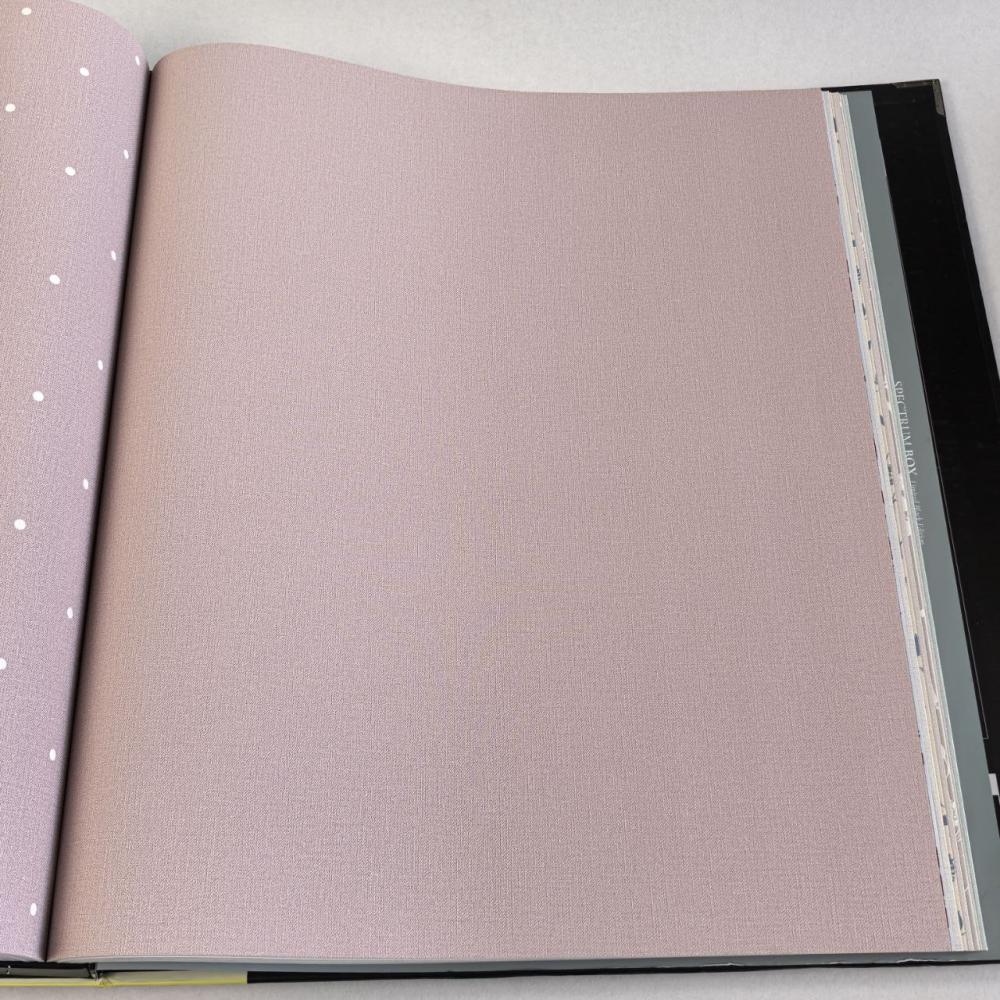 Andrea Rossi Spectrum Box 54455-15 Andrea Rossi Spectrum Box 54455-15