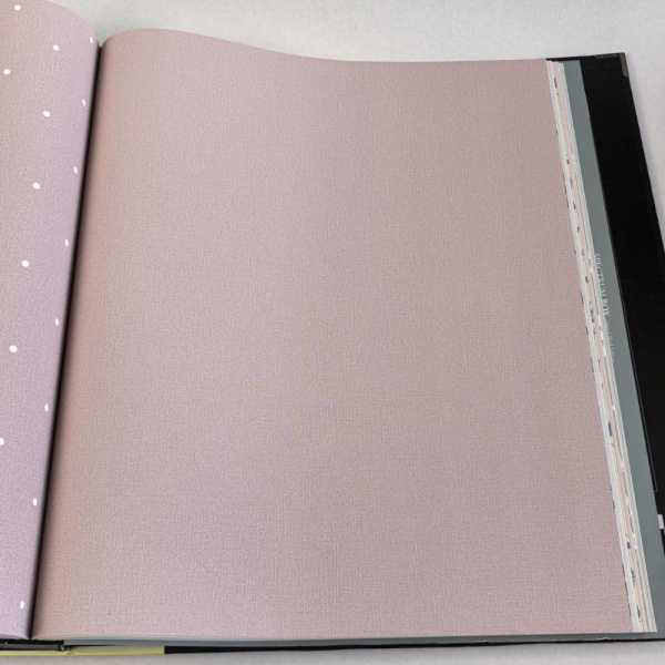 Andrea Rossi Spectrum Box 54455-15 Andrea Rossi Spectrum Box 54455-15